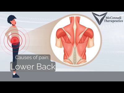 Common causes of pain: Lower Back